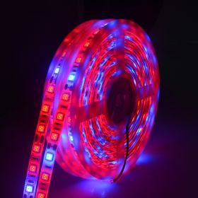 5050Led plant growth soft light bar 5M (Option: 3Red1Blue-Bare board)